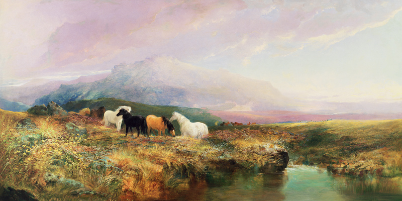 Ponies on Dartmoor from William Widgery