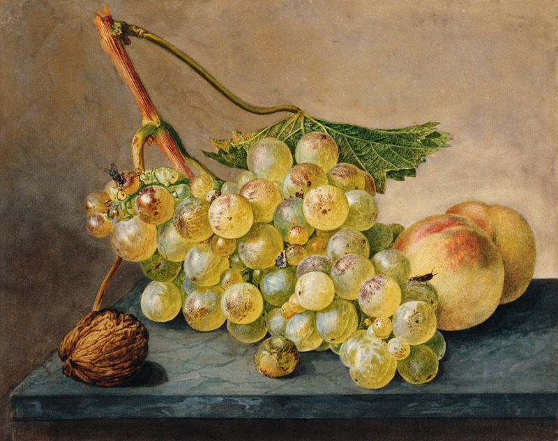 A Bunch of Grapes, a Nut and Two Peaches from Wybrand Hendriks