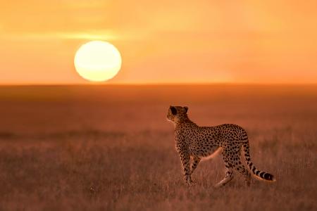 New day in Mara Plains