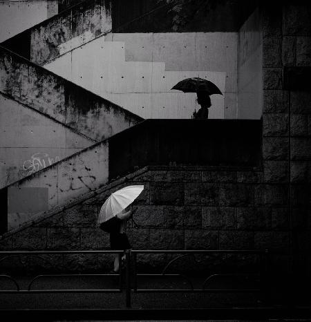 A black umbrella and  a white umbrella