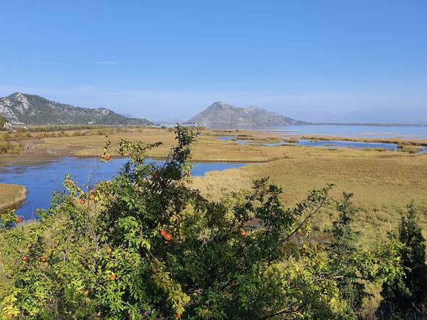 Blick auf den Nationalpark Skutarisee from zamart